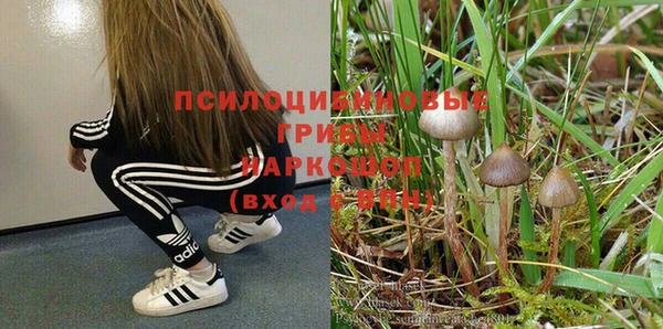 дурь Заволжье