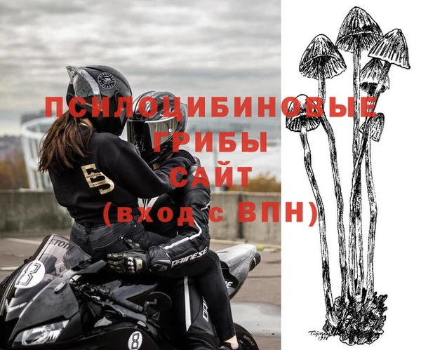 твердый Нея