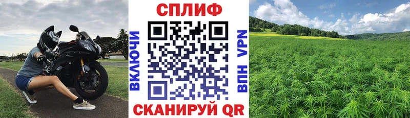 хочу наркоту  Питкяранта  Каннабис гибрид 